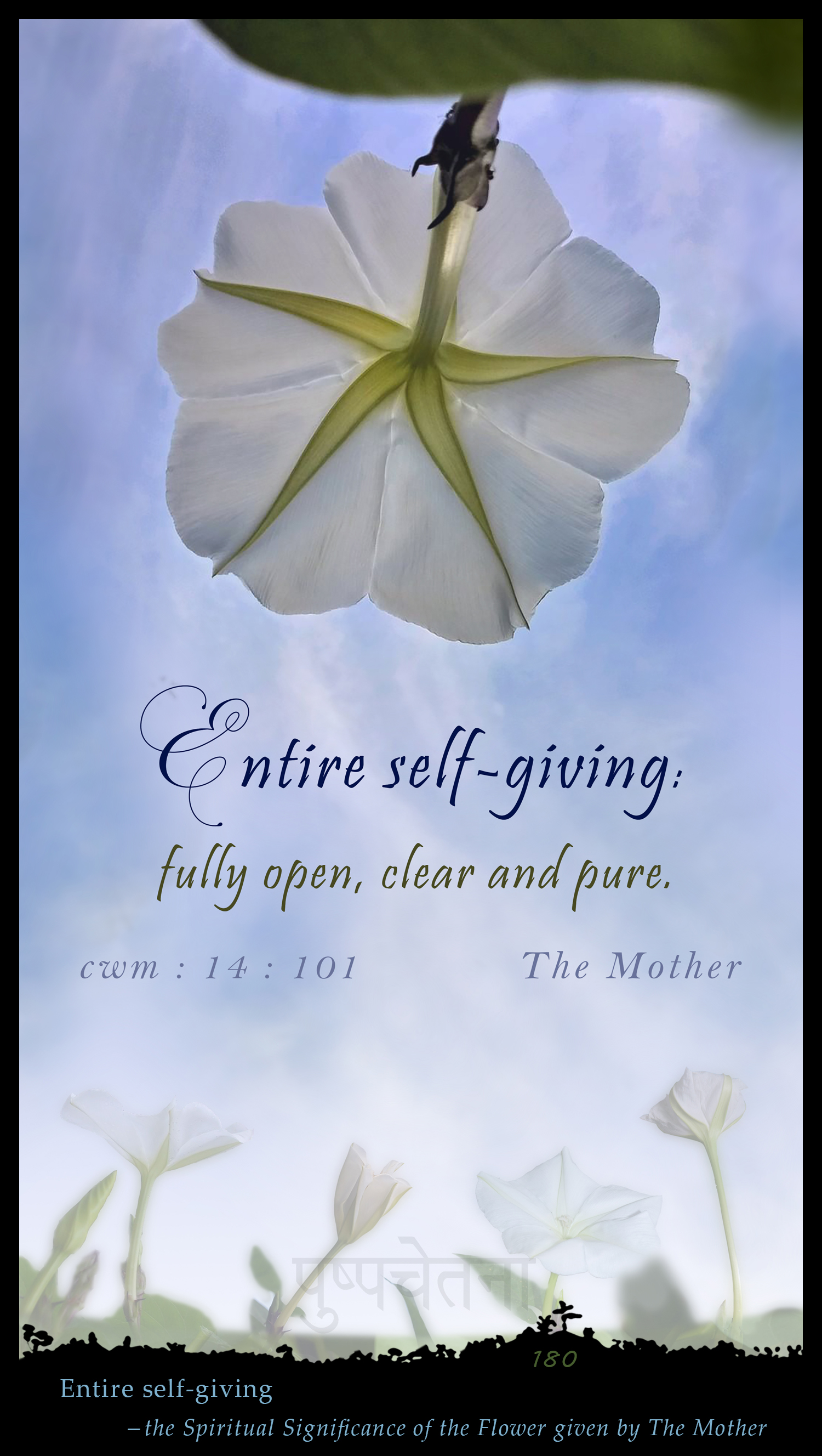 Entire Self-giving